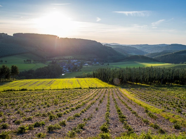 Blick über Oberrarbach