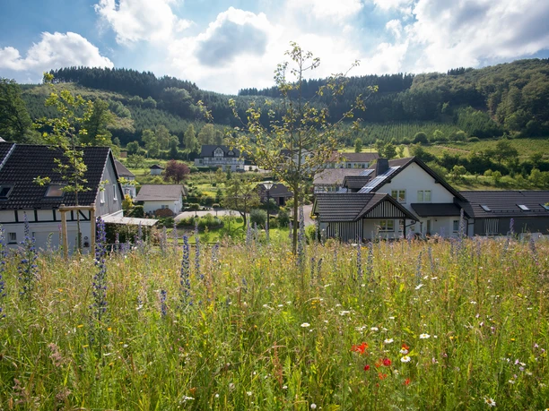 Wandern rund um Oberrarbach