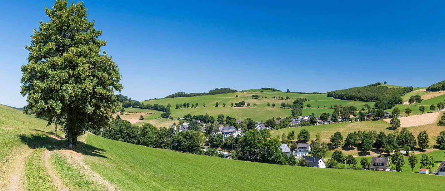 Blick von der Fotoroute auf Oberhenneborn