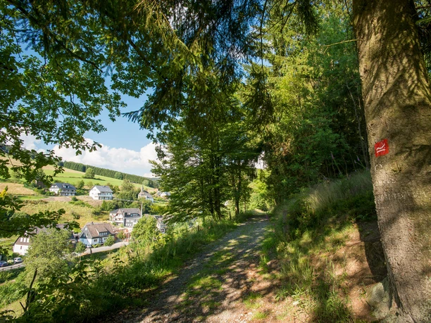 Blick auf Latrop