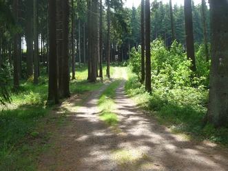 Startpunkt der letzten, achten Etappe des Grenzgängers