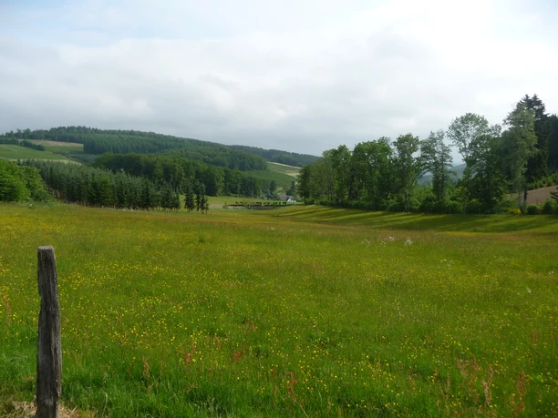 Blick vom Grenzgänger auf Obermarpe Blick vom Grenzgänger auf Obermarpe