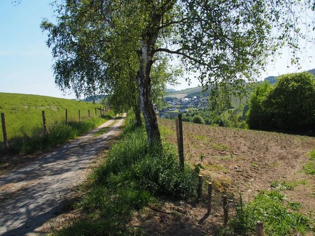 Blick auf Cobbenrode im Sauerland