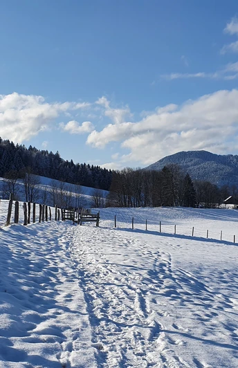 Winterwanderweg Kraggenau