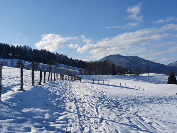 Winterwanderweg Kraggenau