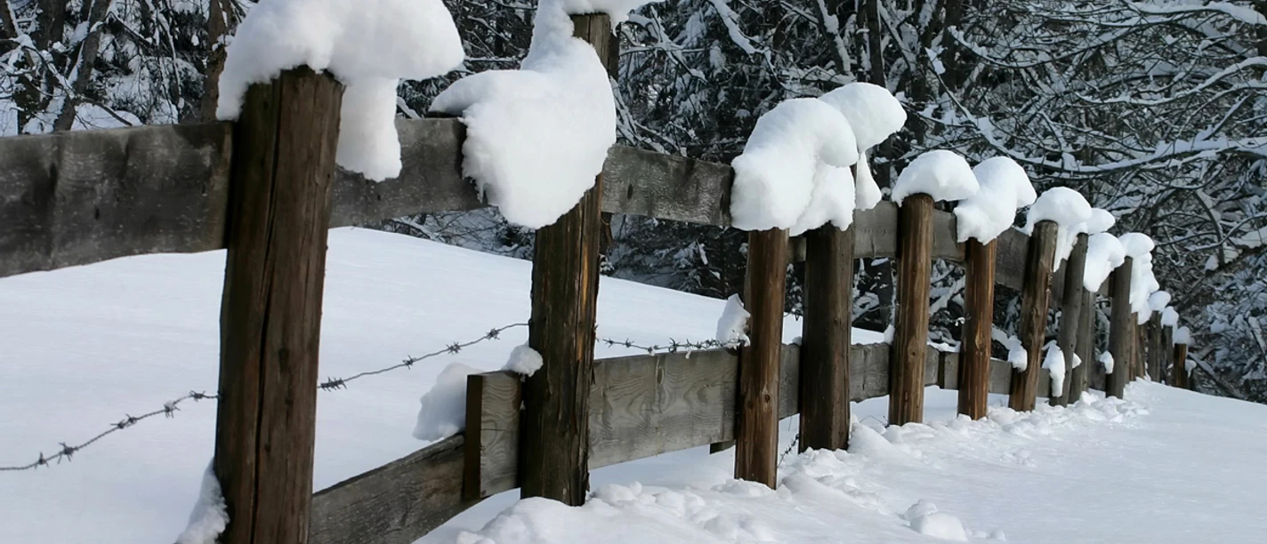 Winterwanderung - Geizenmoos