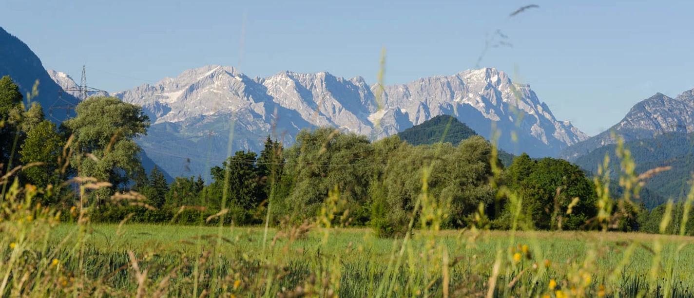 Wanderung - Nach Eschenlohe über Buchenried - Blick ins Wettersteingebirge
