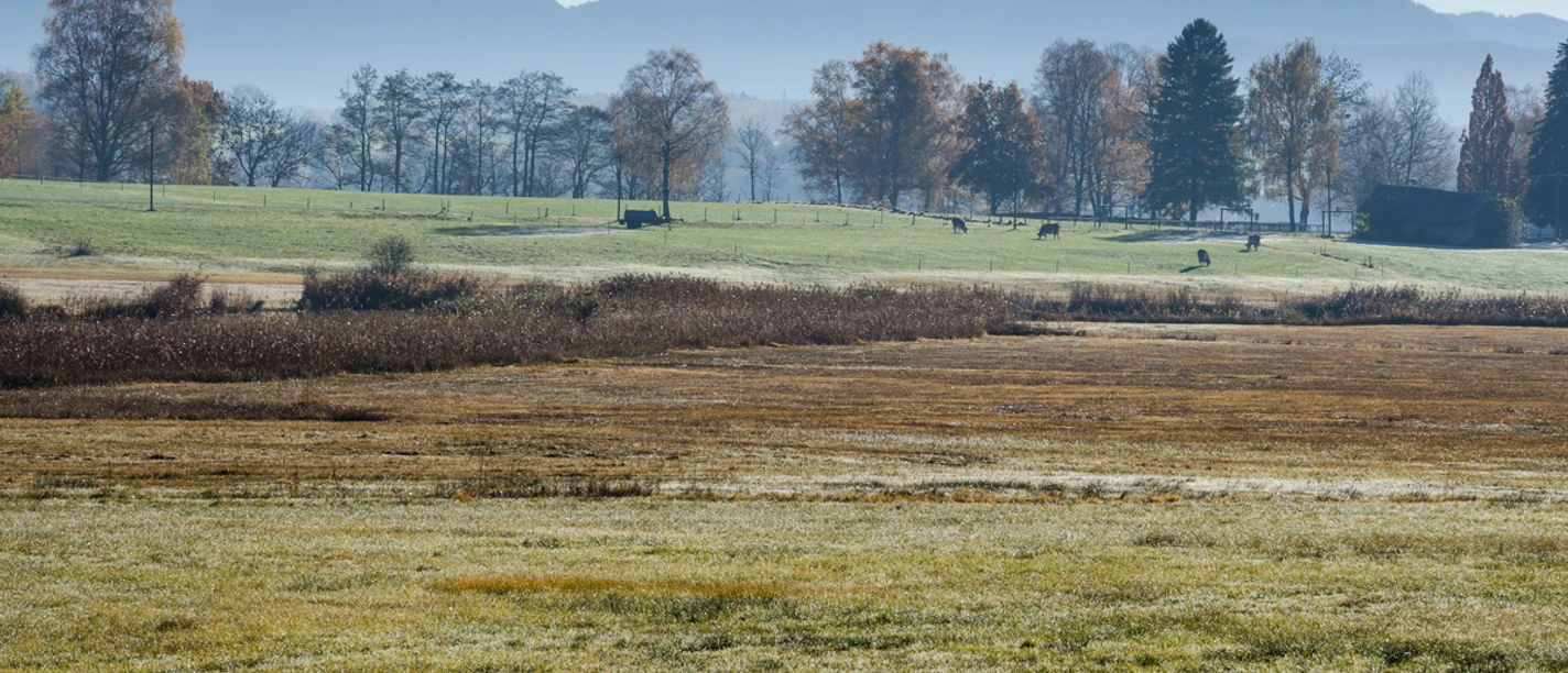 Wanderung - Kirnberg-Rundweg - Blick in die Alpen
