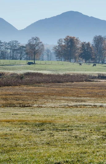 Wanderung - Tafertshofen Rundweg - Blick in die Alpen