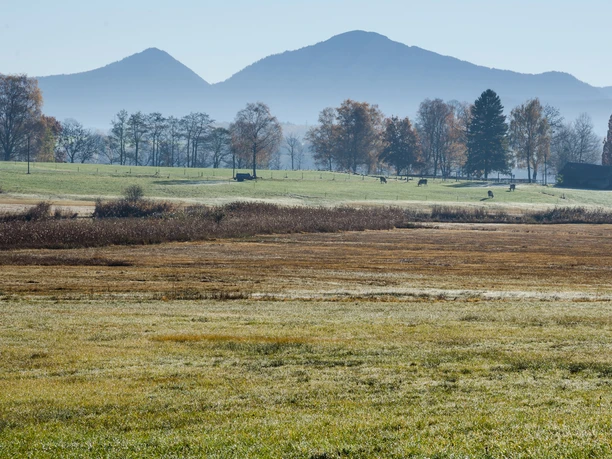 Wanderung - Tafertshofen Rundweg - Blick in die Alpen