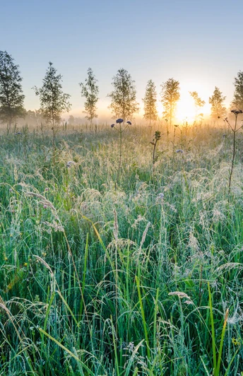 Wanderung - Loisach-Rundweg - Wiesen bei Großweil