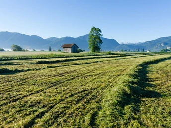 Wanderung - Loisach-Rundweg - landschaftliche Idylle