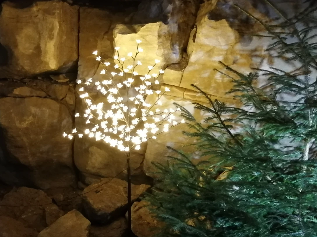 Weihnachtszeit Schillat-Höhle Weihnachtszeit Schillat-Höhle