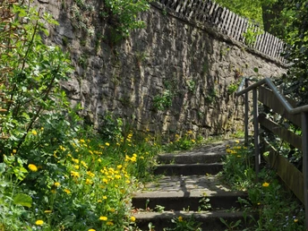 Tweten Ziegenbrink 5.JPG