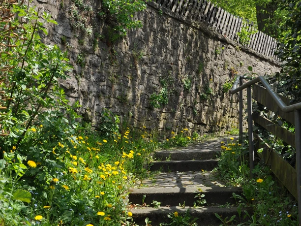 Tweten Ziegenbrink 5.JPG