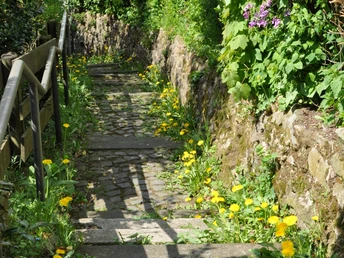 Tweten Ziegenbrink 4.JPG