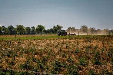 Anröchte-Klieve_Feld mit Traktor_2025 (c) Tim Seiffert.jpeg