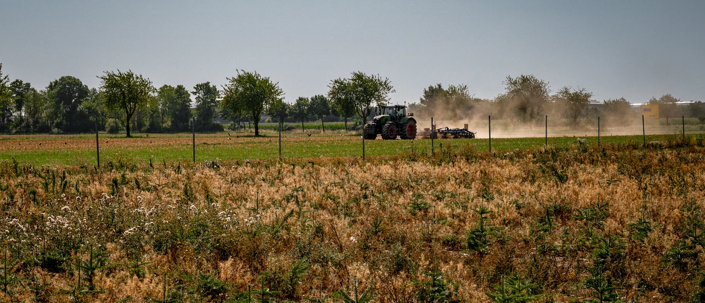 Anröchte-Klieve_Feld mit Traktor_2025 (c) Tim Seiffert.jpeg