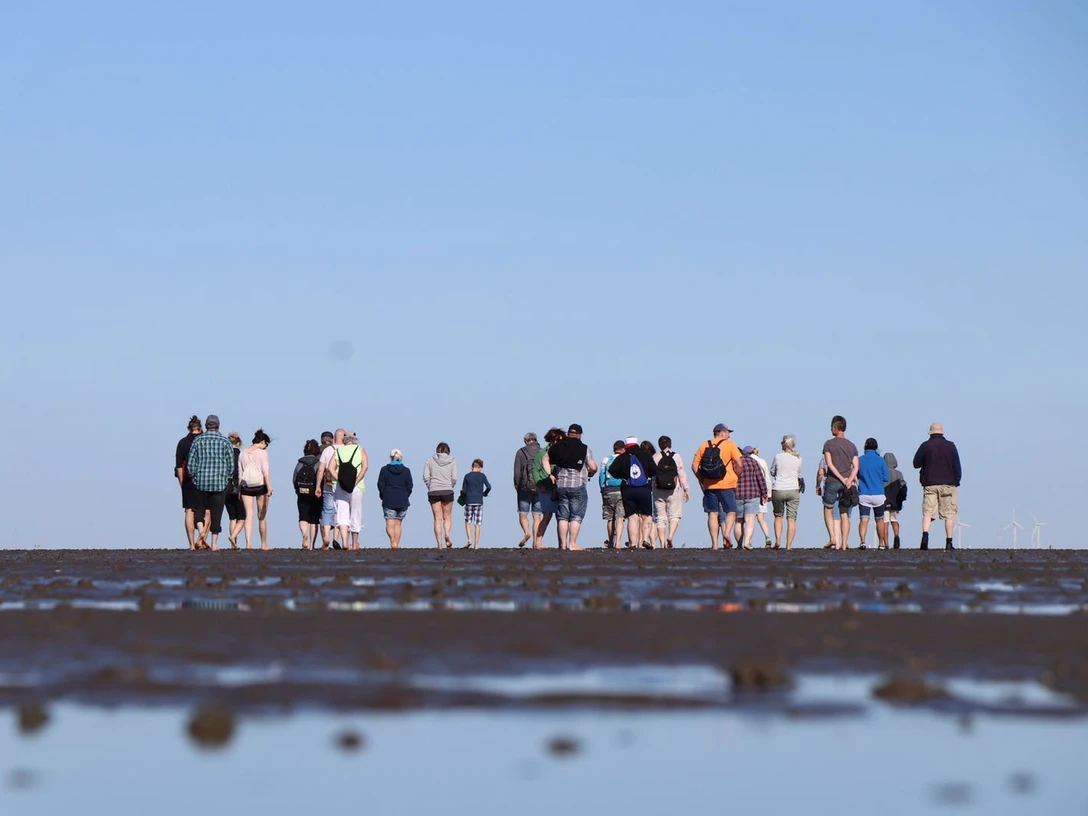 Dorum-Neufeld_2021_Wattwanderung_Gruppe_Ulich.jpg Gruppe von Menschen wandert barfuß über das Watt bei Ebbe unter blauem Himmel in Dorum-Neufeld.