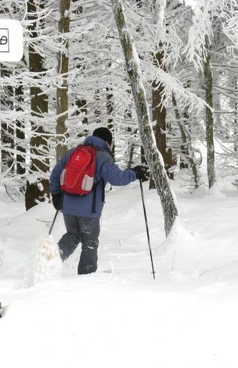 Schneeschuhwandern