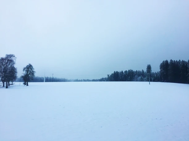 Schneefeld am Waldrand beim Startpunkt