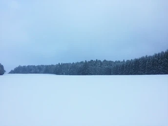 Schneefeld bei den Windrädern