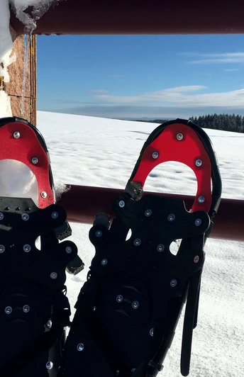 Schneeschuhe an der Pferdekoppel