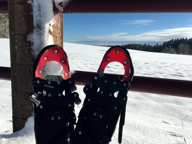 Schneeschuhe an der Pferdekoppel
