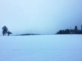 Schneefeld bei den Windrädern