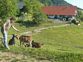 Hapbach - Dohlenbacherhof