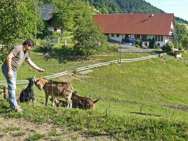 Hapbach - Dohlenbacherhof