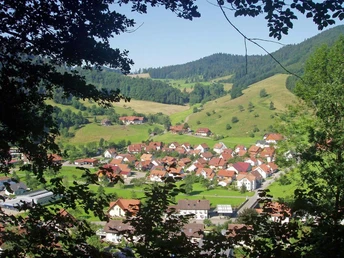 Matten - Ausblick von Hapbach