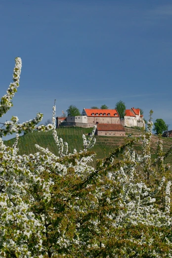 Schloss Staufenberg im Frühjahr