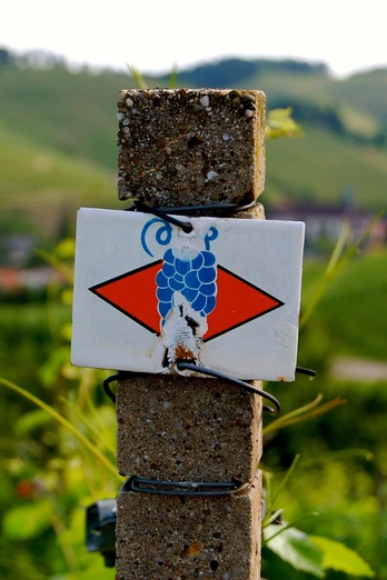 Wegkennzeichen Ortenauer Weinpfad