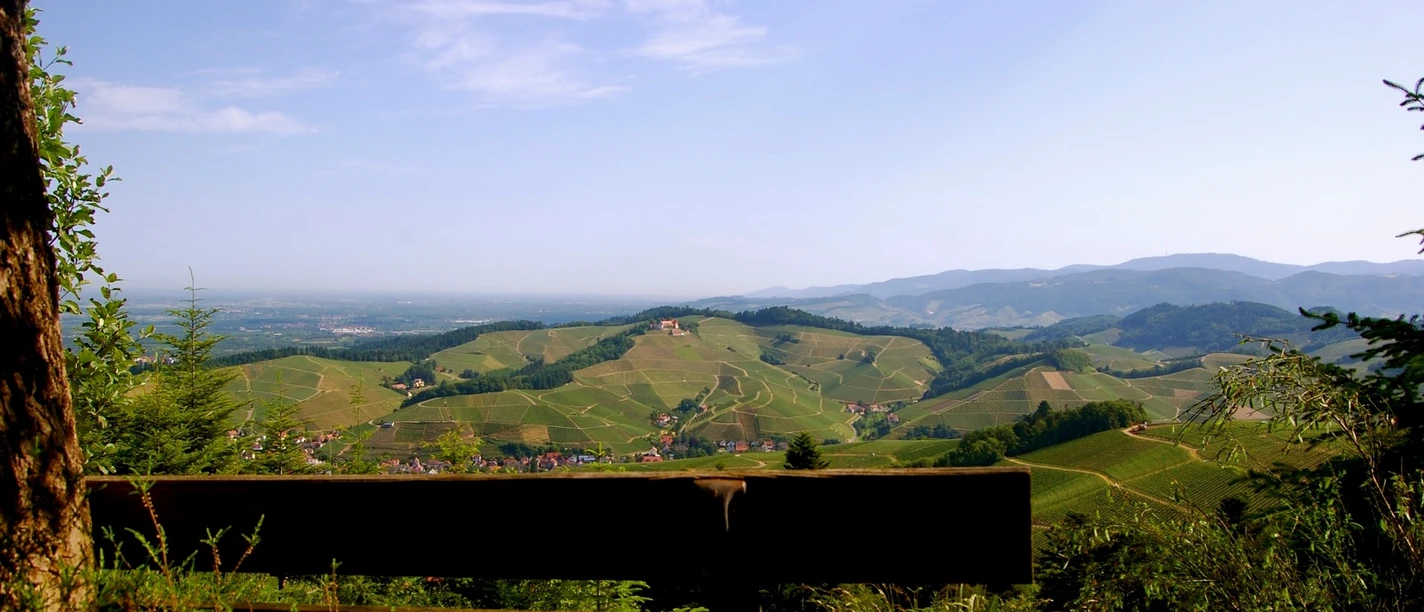 Blick auf Durbach vom Heidenknie