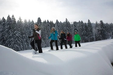 Schneeschuhwandern in Obertal - Buhlbach