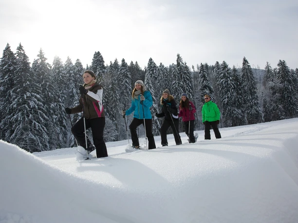 Schneeschuhwandern in Obertal - Buhlbach