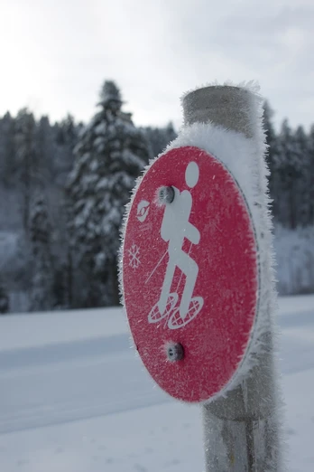 Schneeschuh-Logo