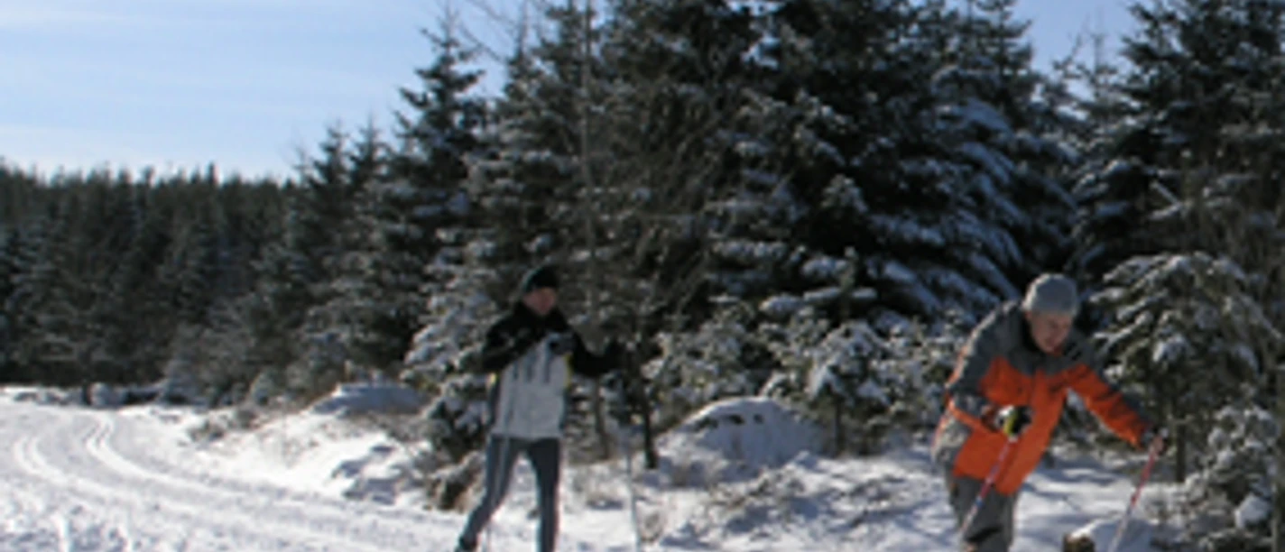 Kaltenbronn Langlauf