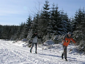 Kaltenbronn Langlauf