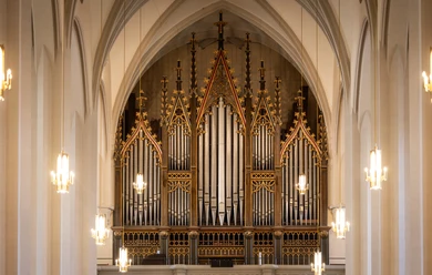 Jehmlich organ in St. Aegidien Church - Organs in the Leipzig region Organ pipes of the Jehmlich organ in the St. Aegidien church in Oschatz, pipe field visible in the church interior.
