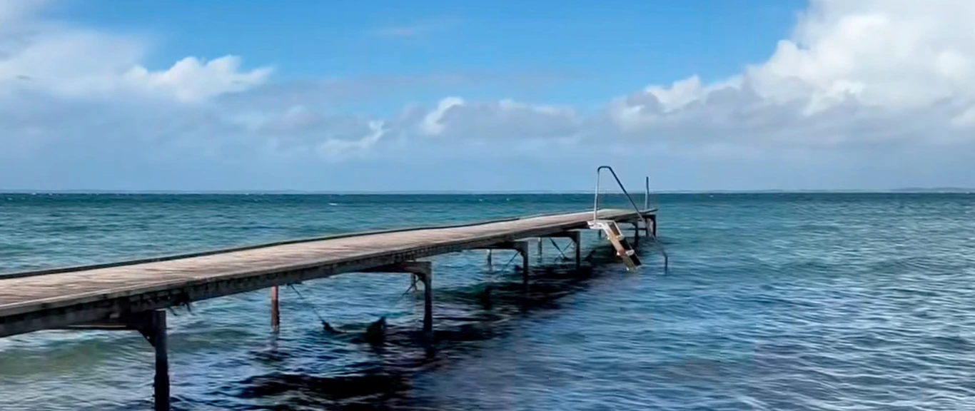 Købingsmark-Vinterbadepunkt-video©Naturvejlederne
