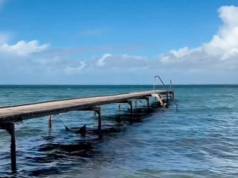 Købingsmark-Vinterbadepunkt-video©Naturvejlederne
