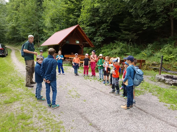 Im Wald mit Förster Theo Blaich