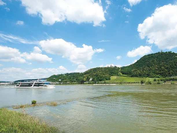 Linienfahrt auf dem Rhein Ein Ausflugsschiff fährt über den Rhein vor grünen Hügeln unter einem Himmel mit weißen Wolken.