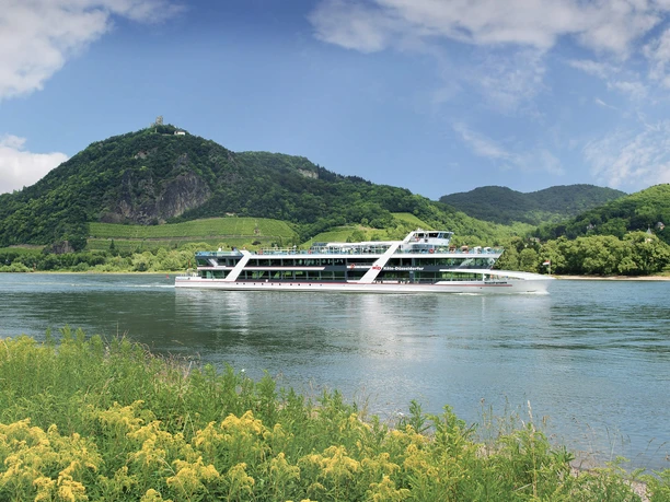 Linienfahrt auf dem Rhein Großes Ausflugsschiff fährt auf dem Rhein vor grünen Hügeln und Uferbewuchs.