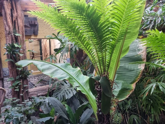 Südamerikahaus Zoo Stralsund