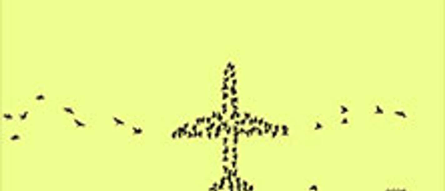 Gelber Hintergrund mit aus Vögeln gebildeter Flugzeugform und Tourtitel Dream, Ivory.