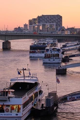 Schiffe Mehrere Ausflugsschiffe liegen am Rhein vor einer Brücke, dahinter moderne Gebäude im Abendlicht