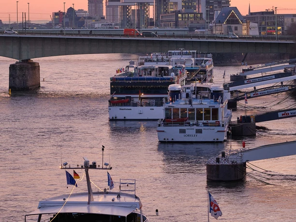 Schiffe Mehrere Ausflugsschiffe liegen am Rhein vor einer Brücke, dahinter moderne Gebäude im Abendlicht